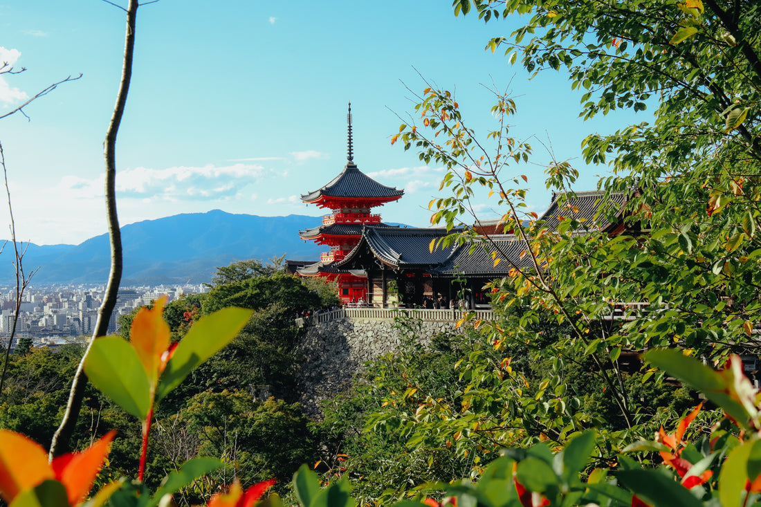 Tokyo Auto Tribe Visits Japan