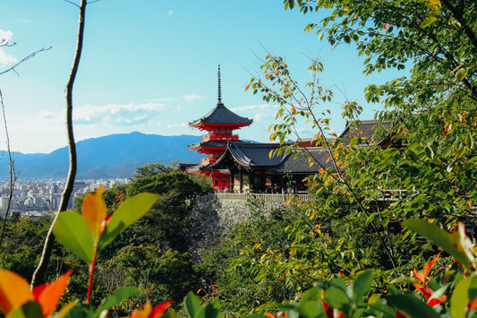 Tokyo Auto Tribe Visits Japan